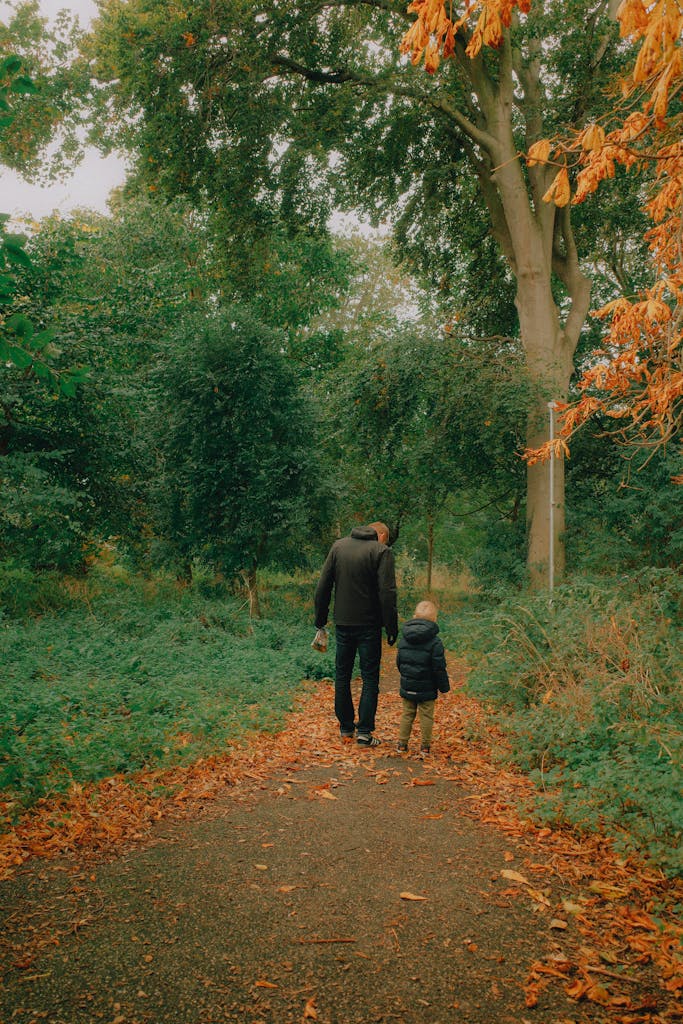 Un père et son enfant se promenant sur un chemin de balade sous les arbres à l'automne. Des feuilles oranges sont au sol.
