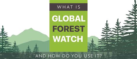 Illustration issue du site Global Forest Watch avec en arrière plan du logo un dessin de foret en zone montagneuse