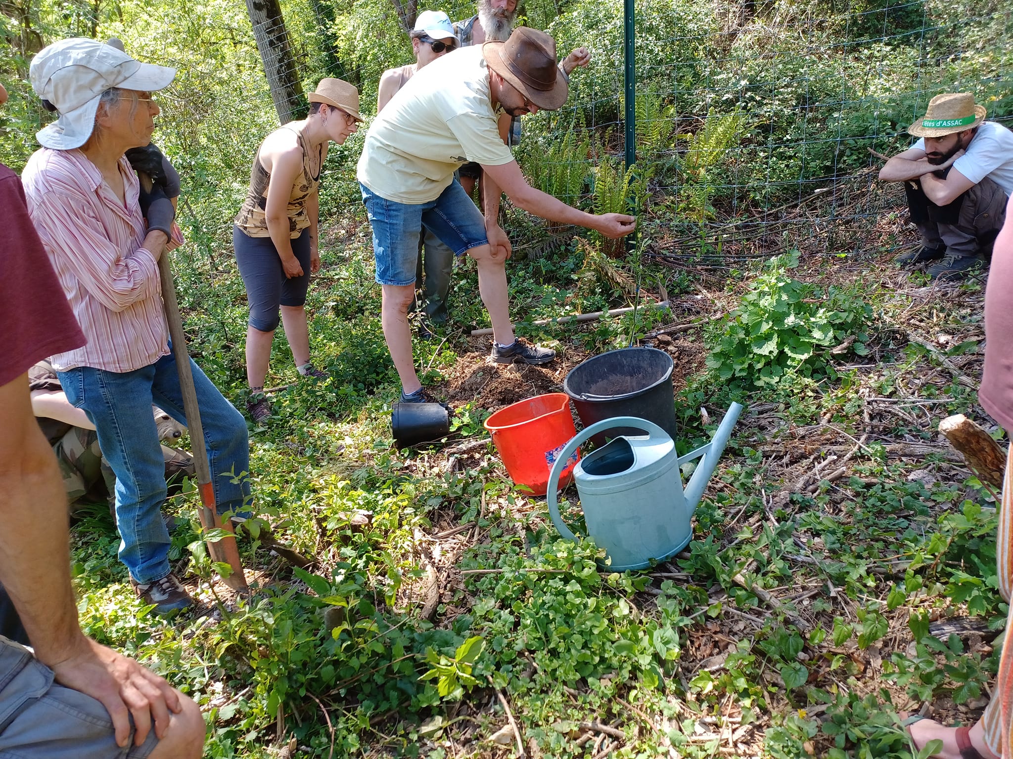 Photo d'un groupe de personnes réunie autour d'une personne qui montre comment planter et entretenir une plante, dans le cadre des associations des jardins foret. Il s'agit d'une photo prise pendant un atelier à l'association Lou Pépin
