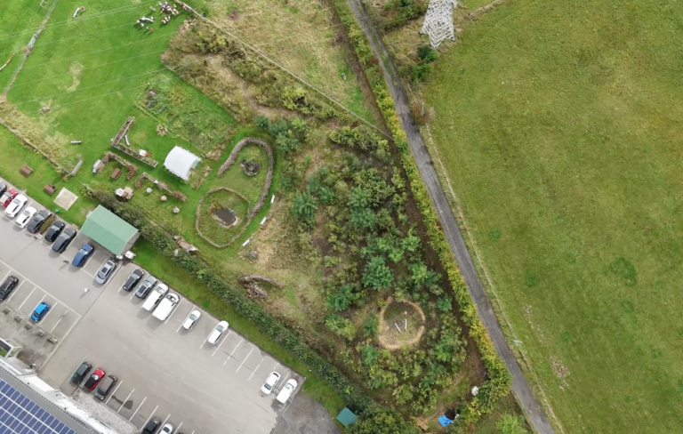 Succession écologique et Forêt comestible