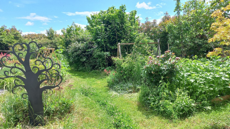 Le jardin forêt en permaculture ou la permaculture dans le jardin foret