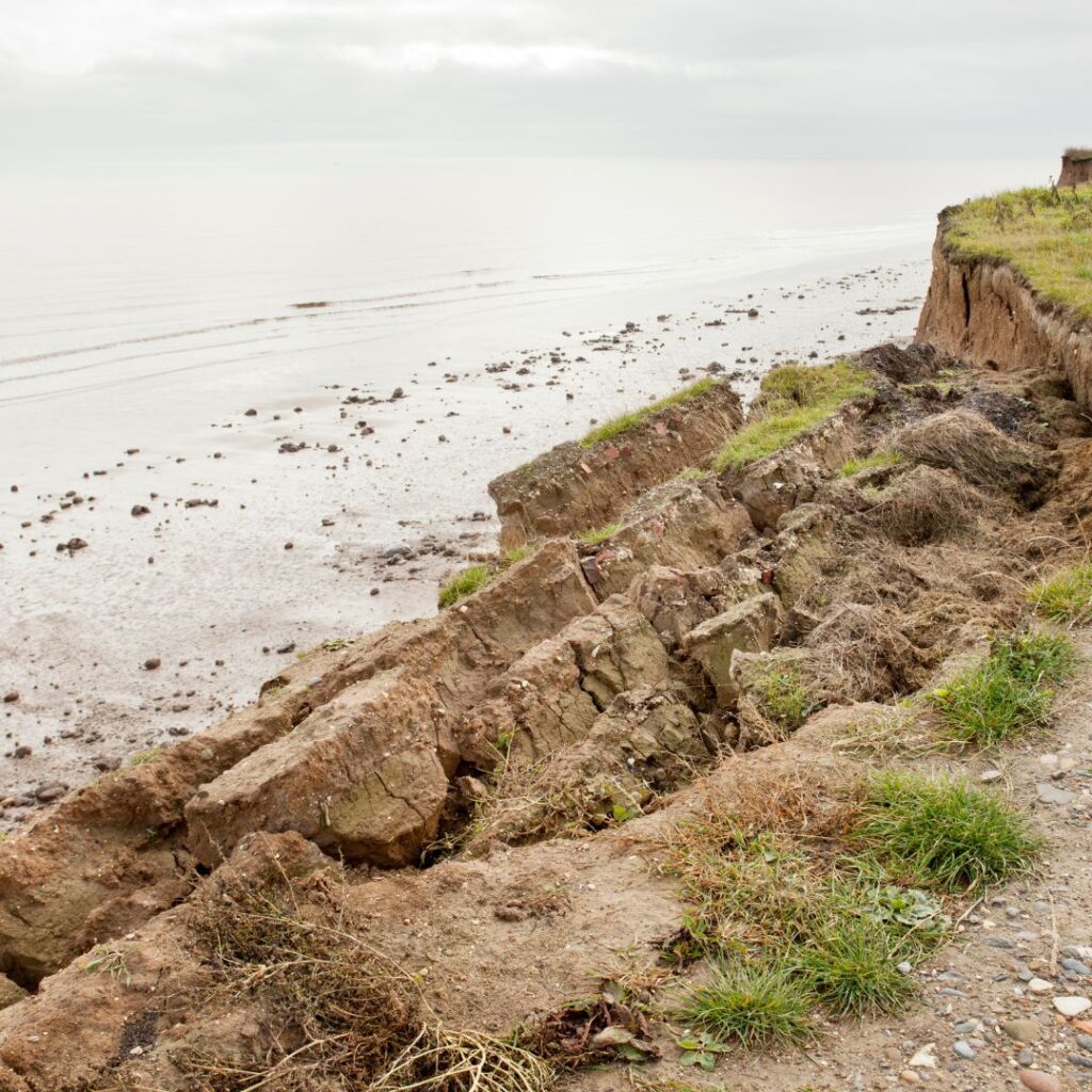 Photo d'une côte maritime à marée basse.