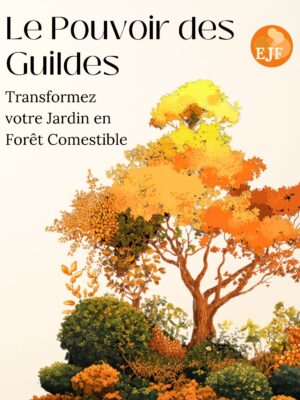 Guide complet : Créer une Guilde pour démarrer son Jardin-Forêt