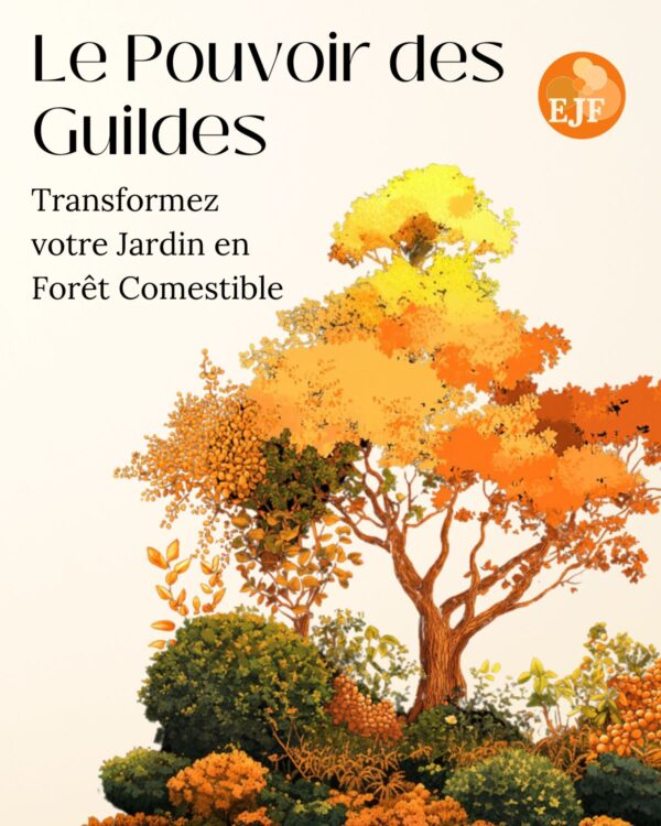 Guide complet : Créer une Guilde pour démarrer son Jardin-Forêt