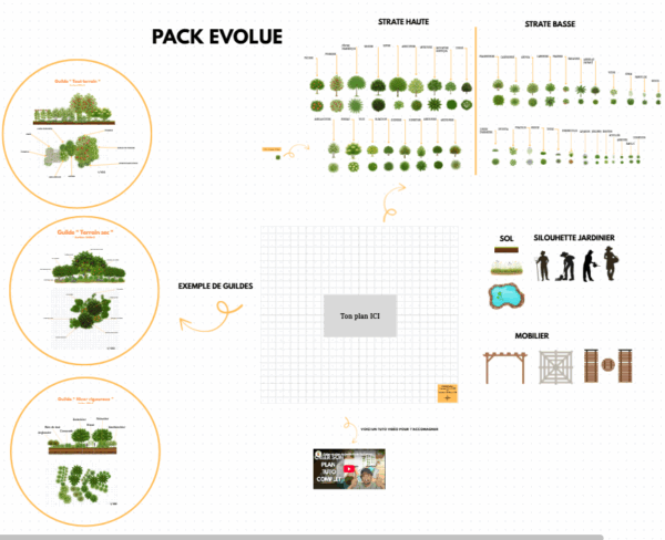 Pack Évolué – 80 Illustrations + 3 Guildes & Template Canva – Image 3