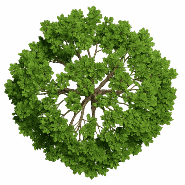 Banque de dessins de plantes ( 80 illustrations ) – Image 10