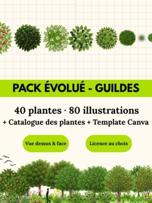 Pack évolué Guildes— 40 plantes (80 illustrations)