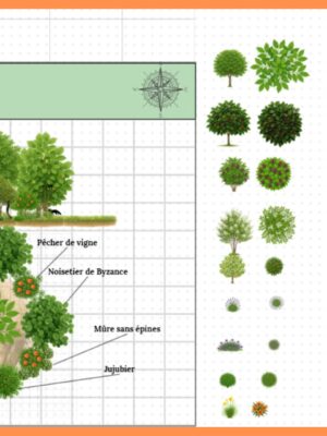 Pack Évolué – 80 Illustrations + 3 Guildes & Template Canva