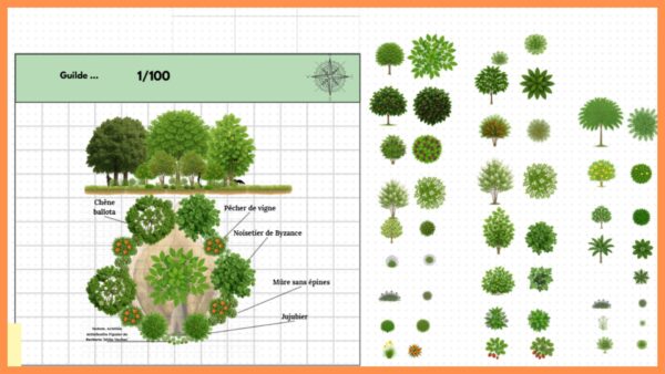 Le Pouvoir des Guildes : Guide complet pour créer votre Jardin-Forêt – Image 6