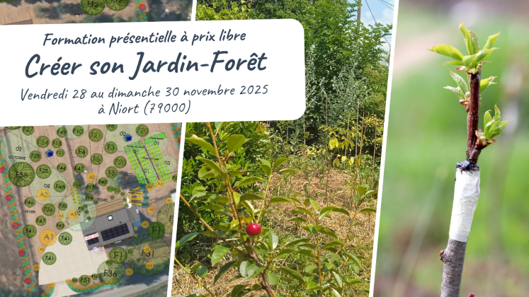 “Créer son Jardin-Forêt” : formation à prix libre à Niort (79000)