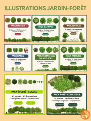 les Illustrations du Jardin-Forêt