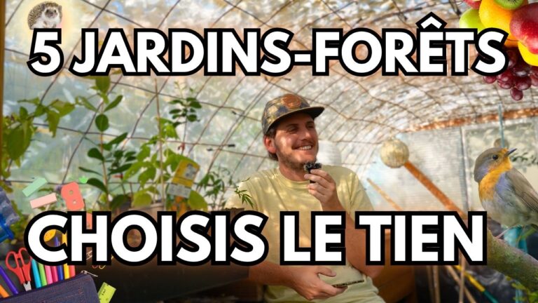 Les 5 types de jardins-forêts