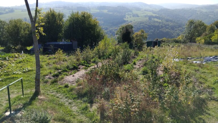 Formation “Jardin-Forêt en permaculture”