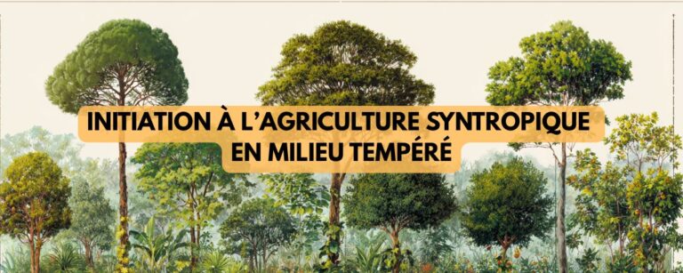 Initiation à l’agriculture syntropique en milieu tempéré