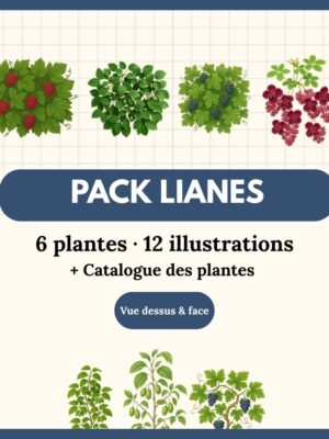 Pack Lianes 6 plantes (12 illustrations)