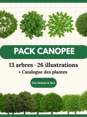 Pack Canopée - 13 arbres (26 illustrations)