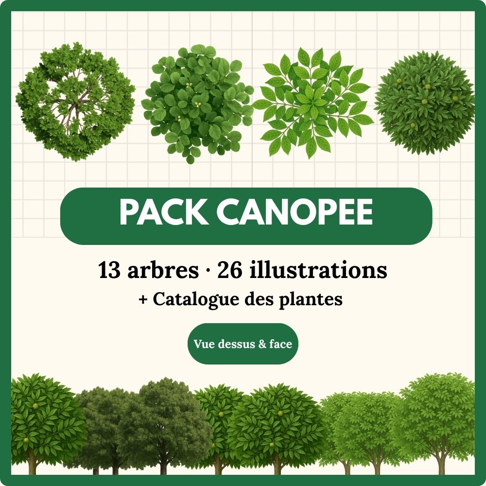 Pack Canopée - 13 arbres (26 illustrations)