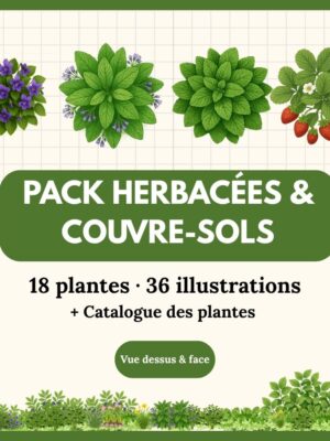 Pack Herbacées & Couvre-sols -18 plantes (36 illustrations)