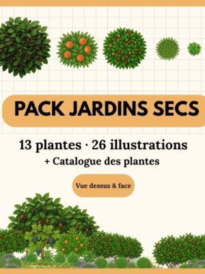 Pack Jardins Secs — 16 plantes (32 illustrations)