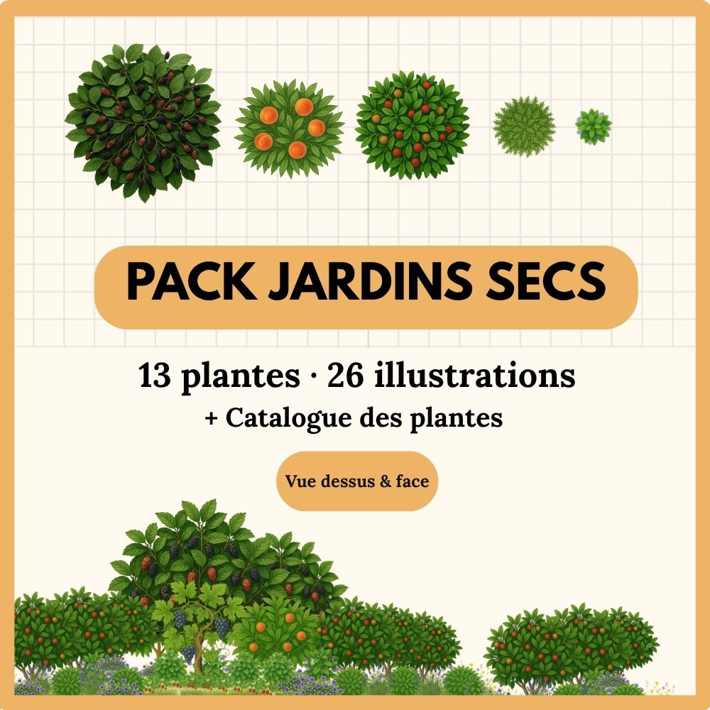 Pack Jardins Secs — 16 plantes (32 illustrations)