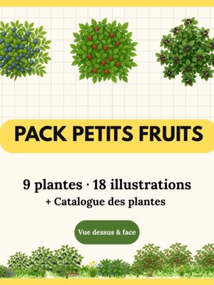 Pack petits fruits, strate basse - 9 plantes (18 illustrations)