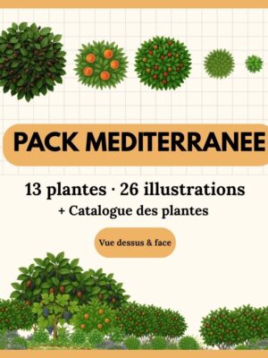 Pack Méditerranée — 13 plantes (26 illustrations)