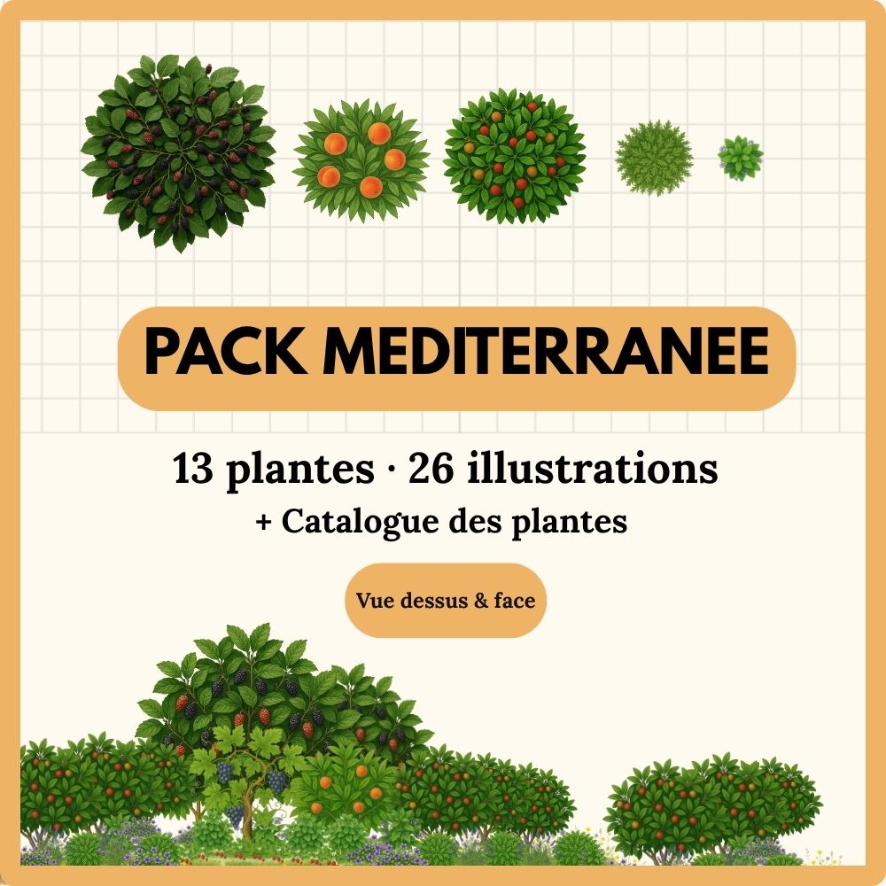Pack Méditerranée — 13 plantes (26 illustrations)