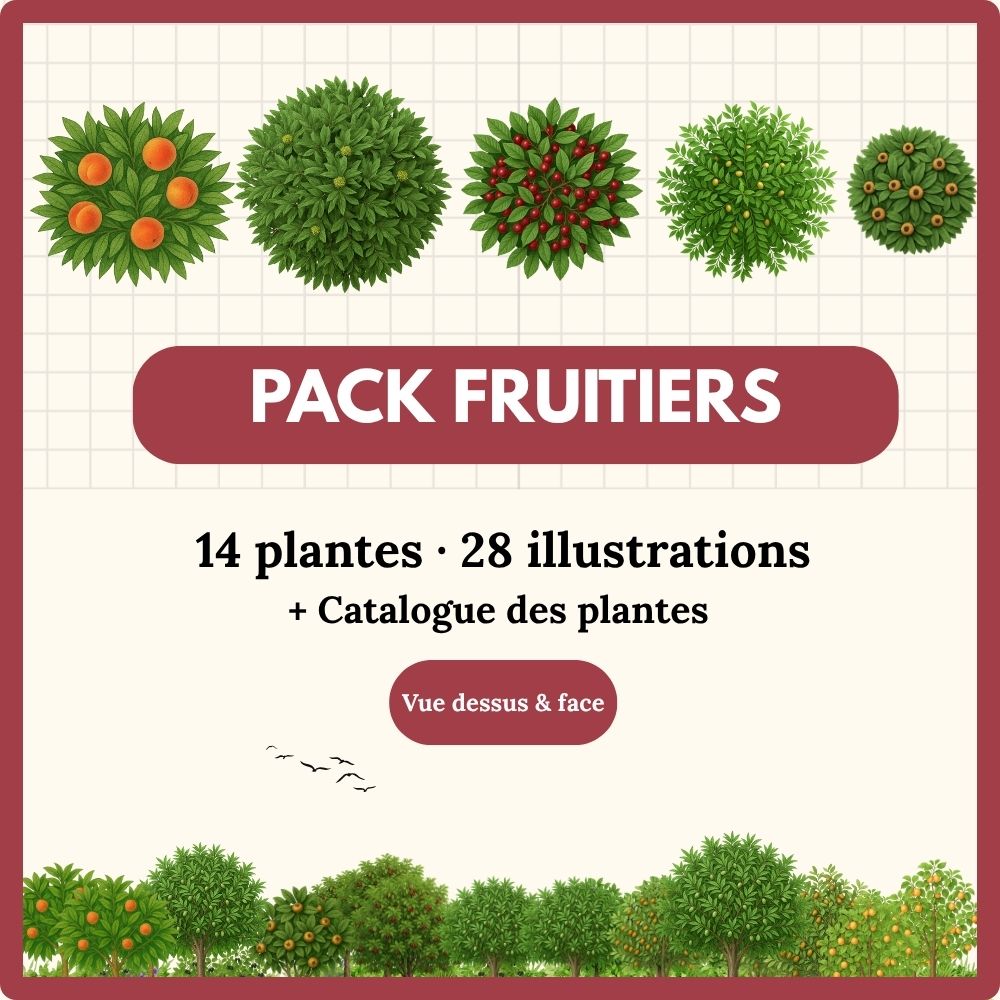 Pack Fruitiers — 14 plantes ( 28 illustrations )