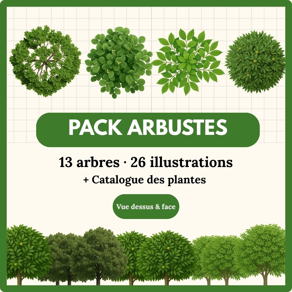 Pack Arbustes ( strate basse ) 13 plantes (26 illustrations)