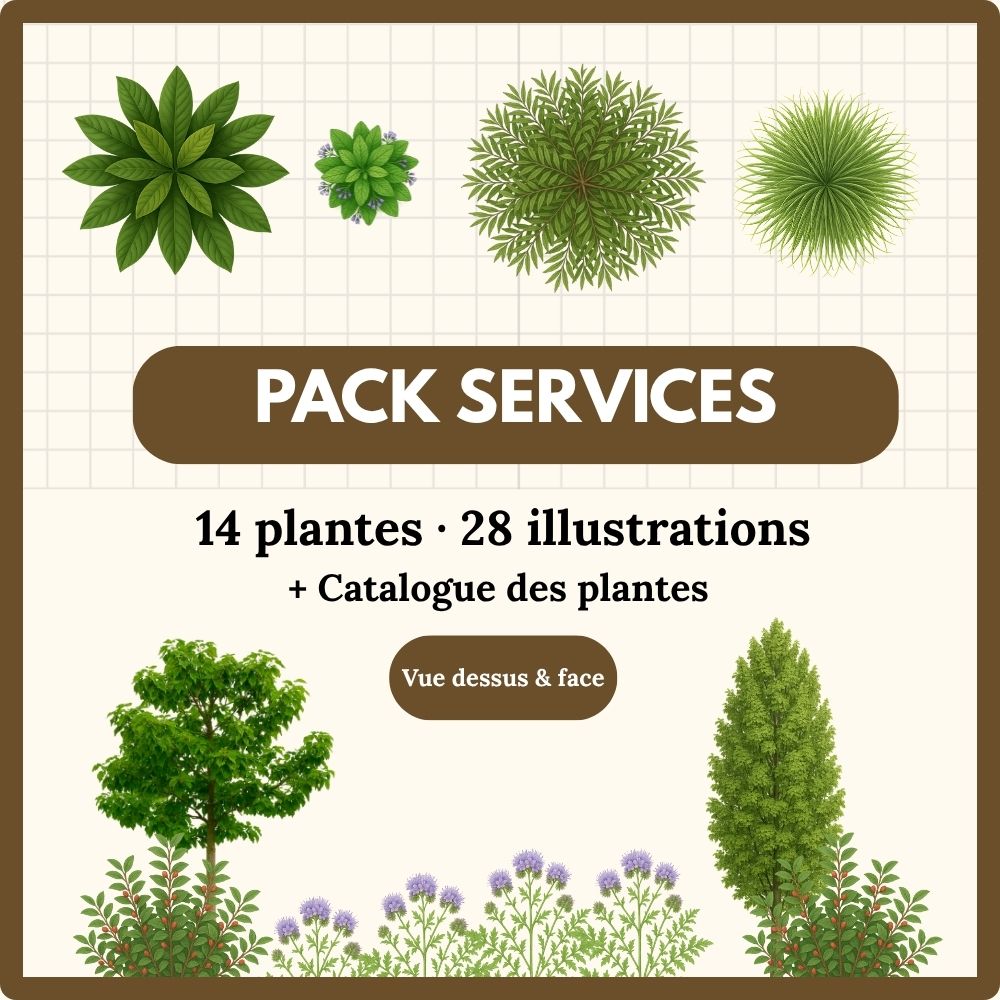 Pack Services ( biomasse, support... ) 14 plantes (28 illustrations)