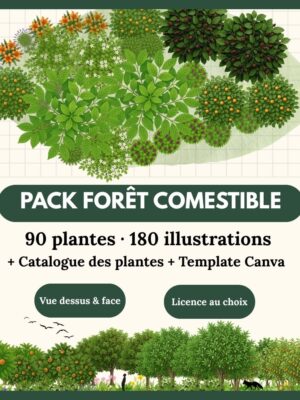 Pack Expert – La Forêt Comestible Complète - 90 plantes (180 illustrations)