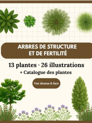 Arbres de structure et de fertilité 13 plantes (26 illustrations)