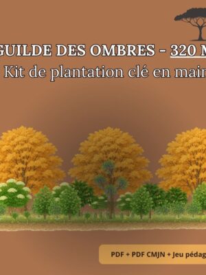Guilde des Ombres – Kit Complet de Plantation