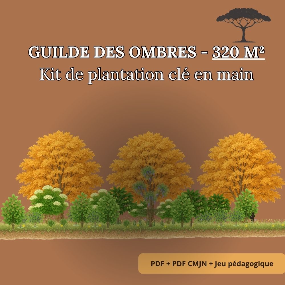 Guilde des Ombres – Kit Complet de Plantation