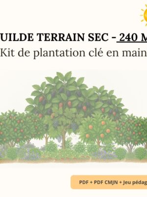 Guilde Terrain Sec – 240 m² -  Kit Complet de Plantation