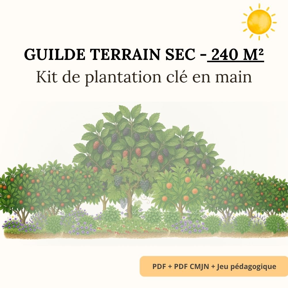 Guilde Terrain Sec – 240 m² - Kit Complet de Plantation