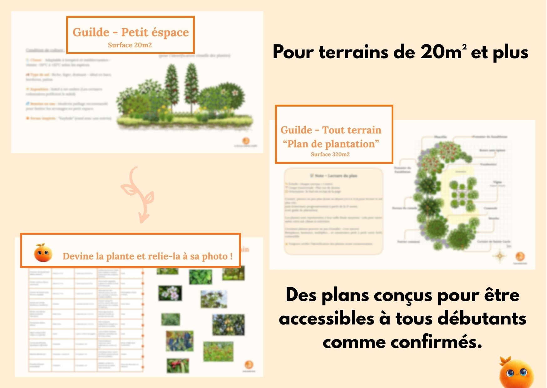 Guilde des Ombres – Kit Complet de Plantation – Image 2