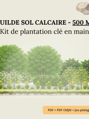 Guilde sol calcaire – 500 m² - Kit Complet de Plantation