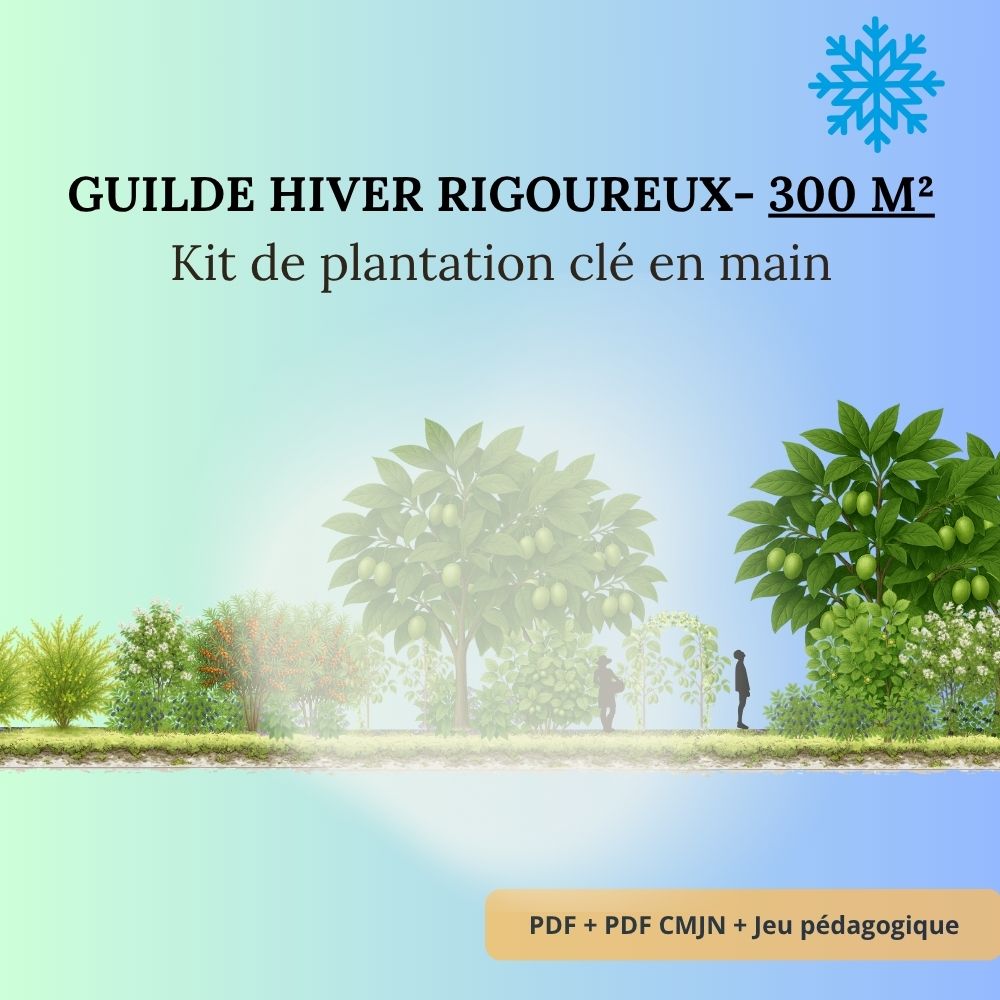 Guilde Hiver Rigoureux – 300 m² - Kit complet de plantation