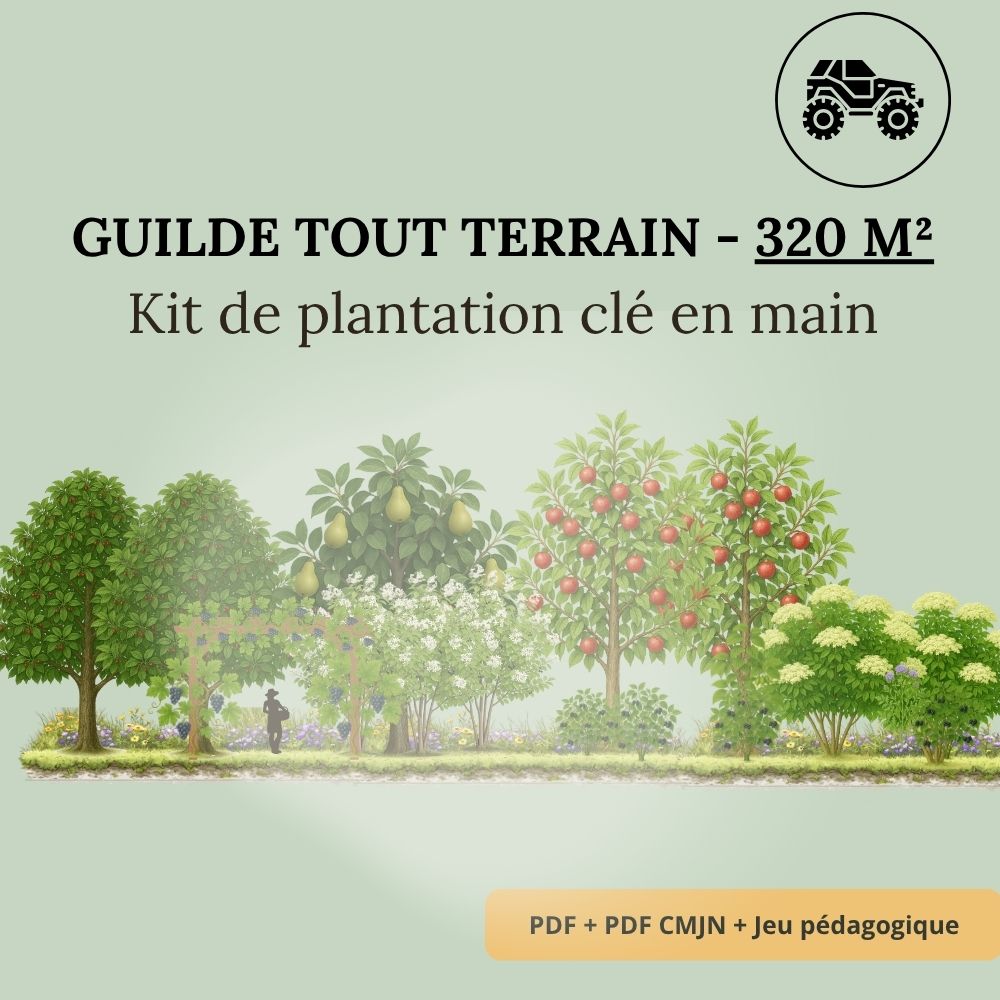 Guilde Tout Terrain – 320 m² - Kit complet de plantation