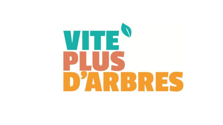 Des arbres gratuits pour tous : découvrir Vite Plus d’Arbres