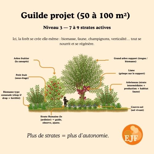 Crée ta guilde sur mesure – Jardin Forêt adapté à ton terrain – Image 2