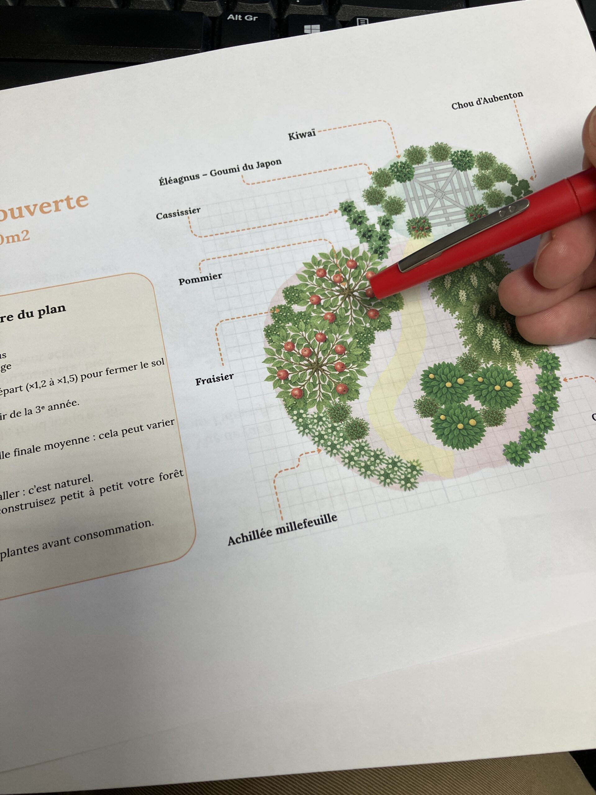 Guilde Tout Terrain – 320 m² - Kit complet de plantation – Image 2