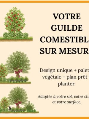 Crée ta guilde sur mesure – Jardin Forêt adapté à ton terrain