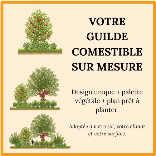 Crée ta guilde sur mesure – Jardin Forêt adapté à ton terrain