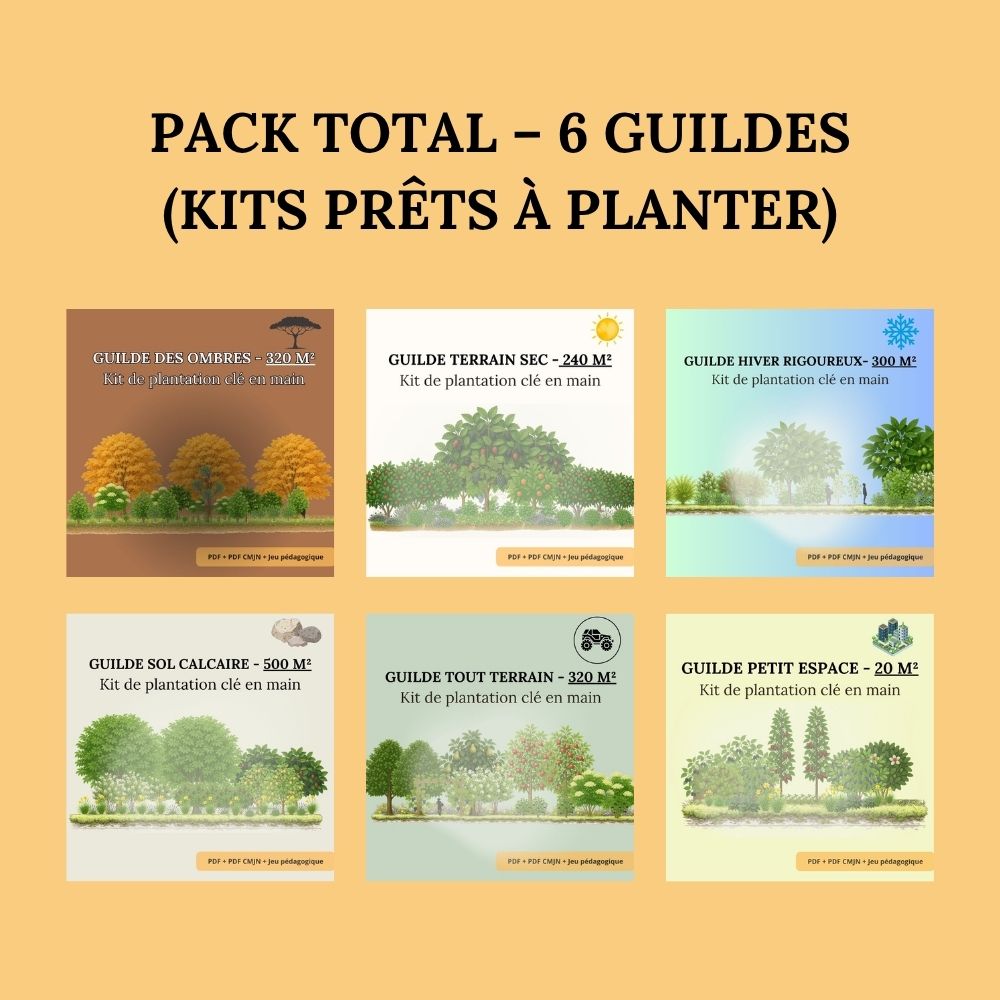 Pack Total – 6 Guildes (kits prêts à planter)