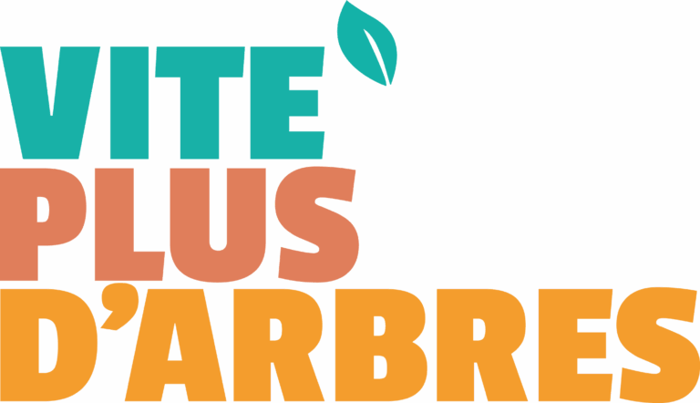 Des arbres gratuits pour tous : découvrir Vite Plus d’Arbres