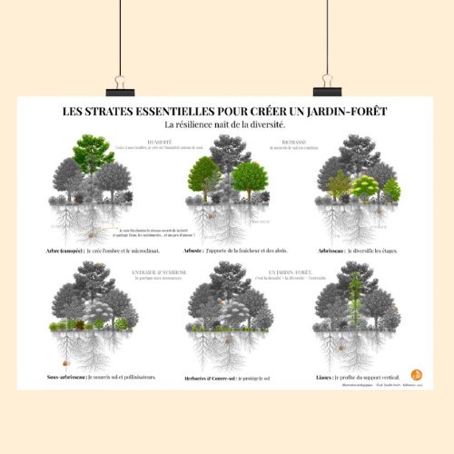 Poster “Strates du Jardin-Forêt”
