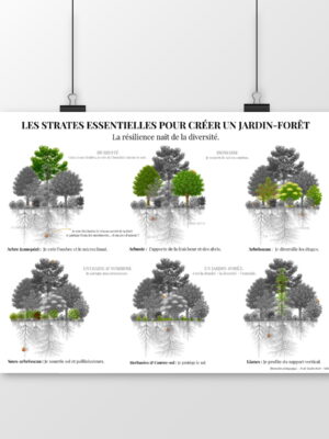 paysage_1_1 Poster “Strates du Jardin-Forêt”