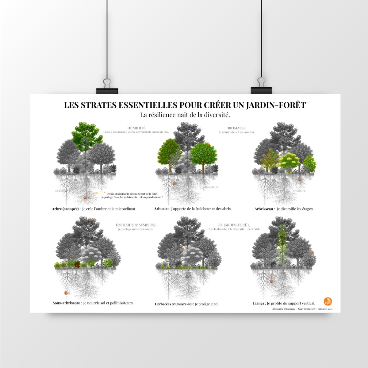 Poster “Strates du Jardin-Forêt”